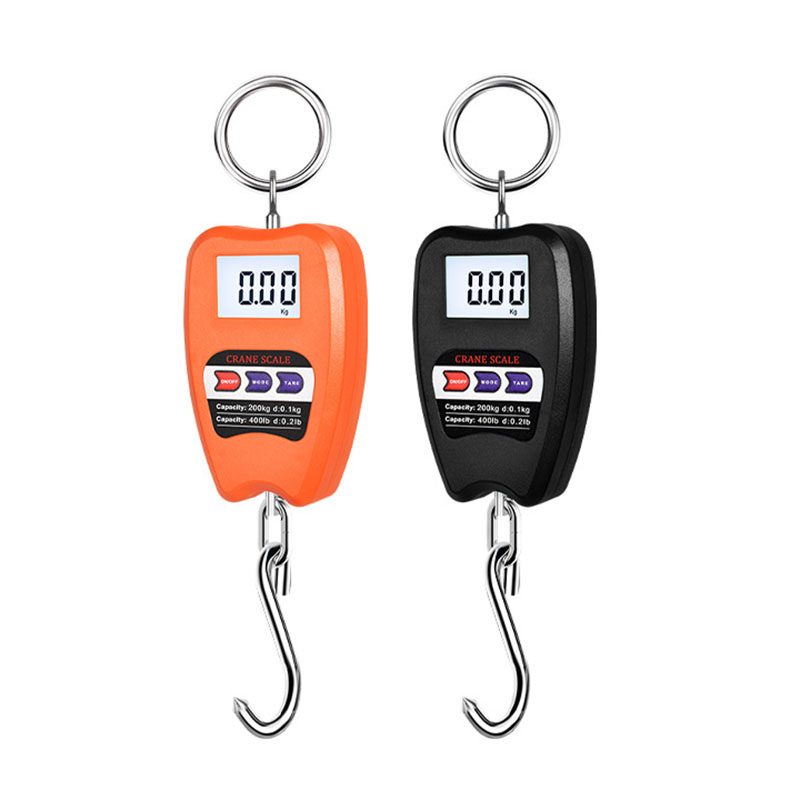 200kg OCS Crane Scale