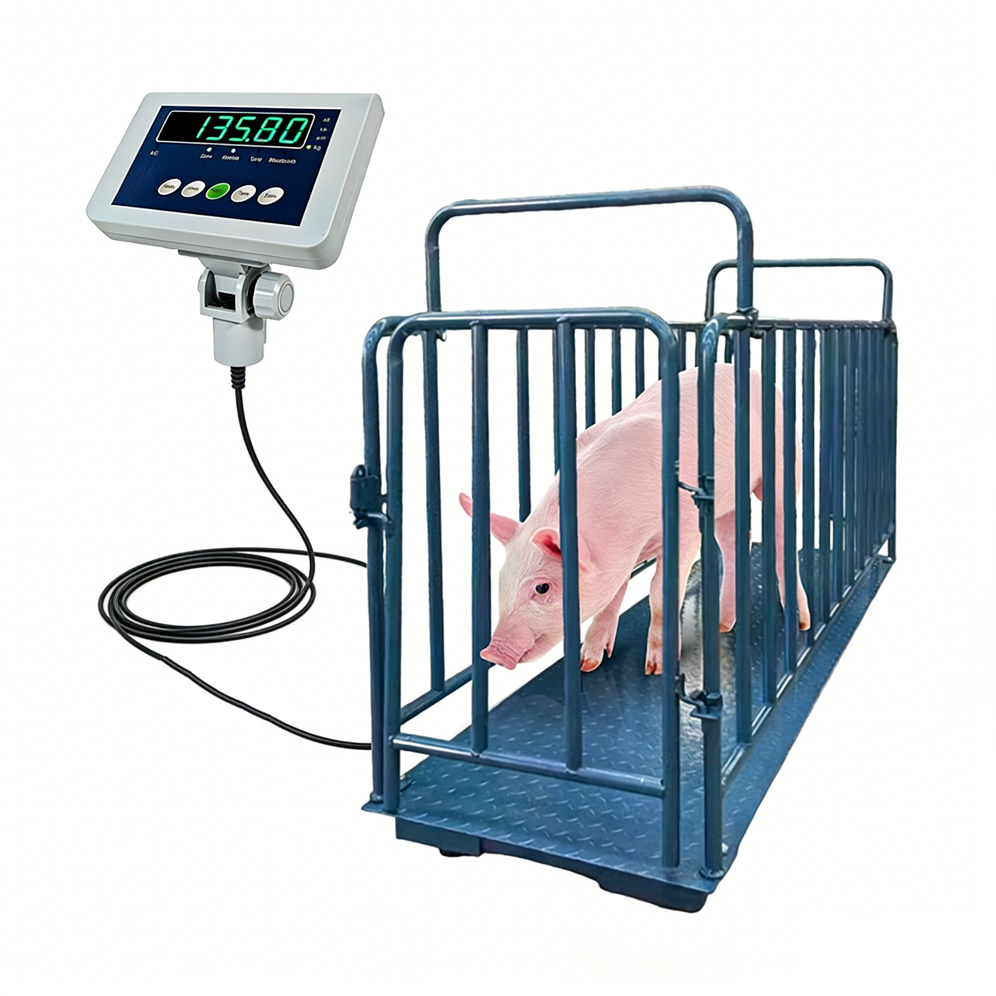 1.5*1.5m Animal Livestock Floor Scale