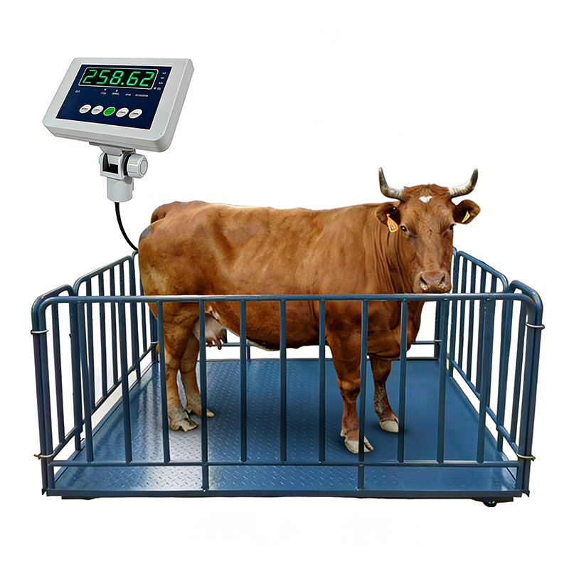 1.5*2.0m Industrial Animal Platform Floor Scale