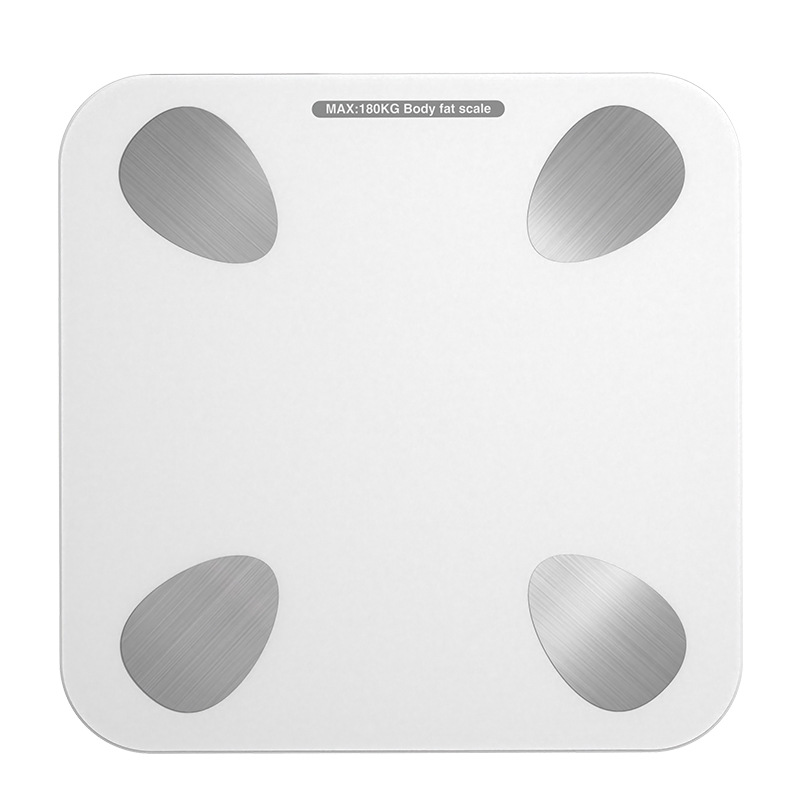 LGBS-003 Fat Body Scale 5mm Thickness